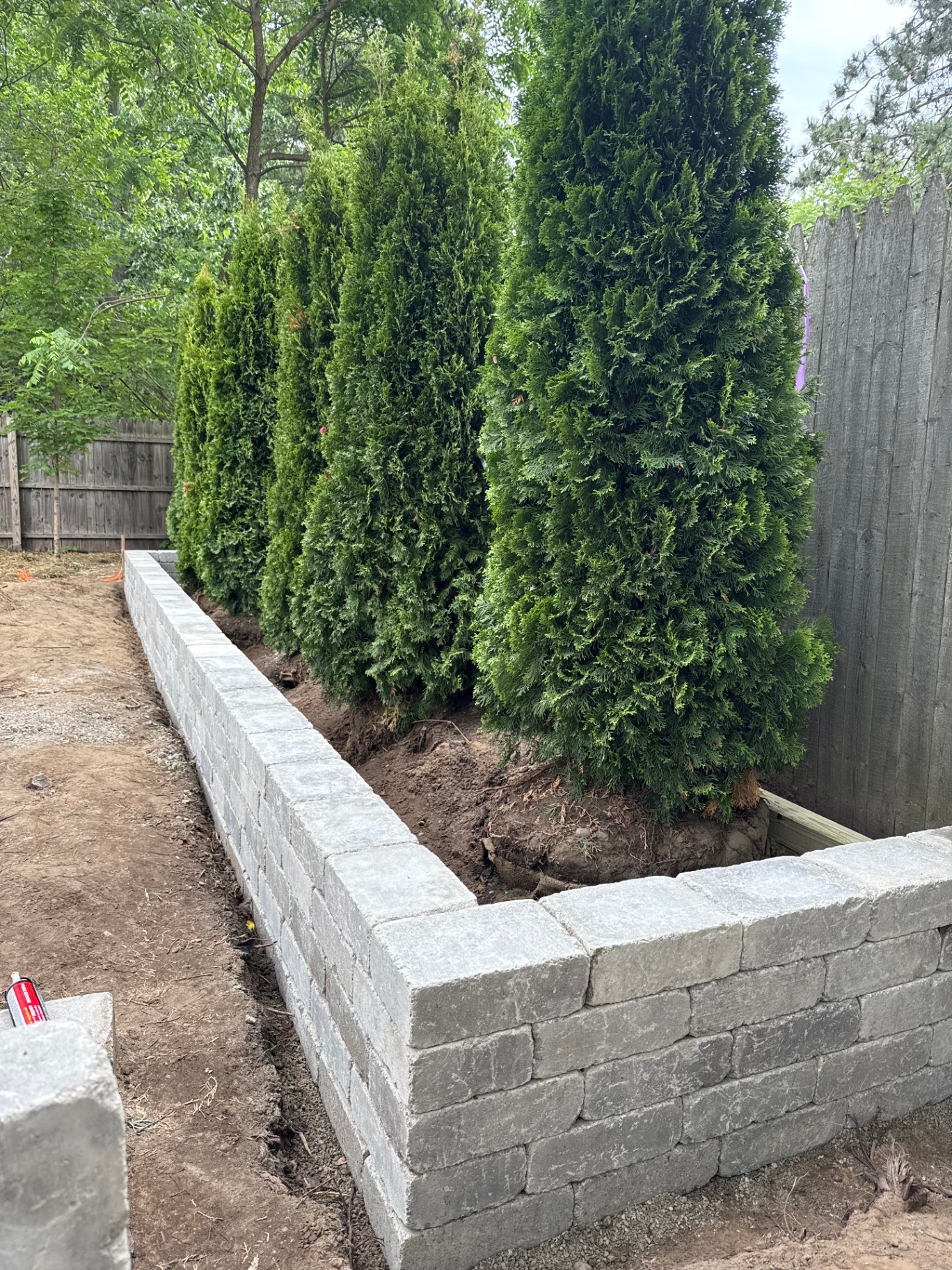 Retaining Wall and Arborvitae Install — In Progress